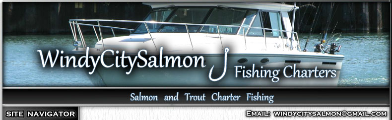 Great Lakes Illinois sport fishing, Chicago Lake Michigan Salmon Charters, and Lake Michigan Fishing Charters. Fishing for Chinook Salmon, Coho, Steelhead Salmon, Lake Trout and Brown Trout with Captain Rick Bentley of Independence Fishing Charters.